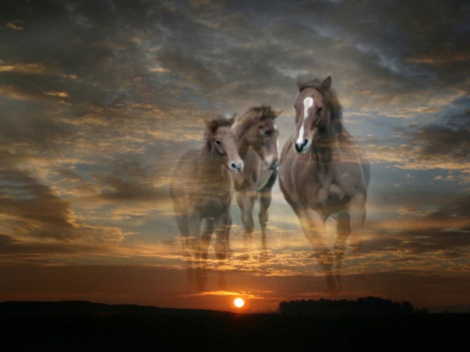 Лошадки клип. Красивая лошадь обои. Лошадь в облаках. Облака лошадки. Потолок с лошадьми.